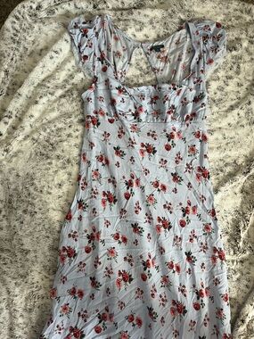 wild fable Light Blue Midi Dress with Red Rose Print